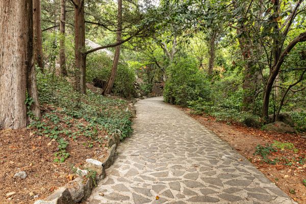 Stone Walkway Repair in Bronx