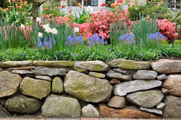 Stone Wall Hardscaping in Bronx
