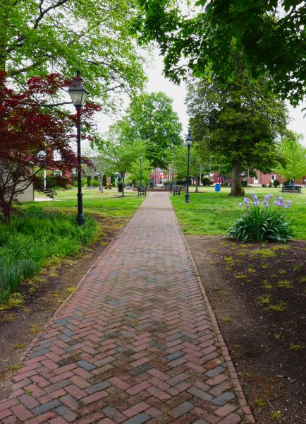 Brick Pathway Repair in Bronx