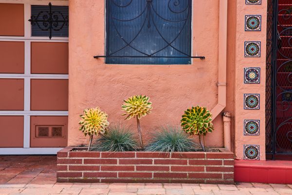 Brick Planter Installation in Bronx