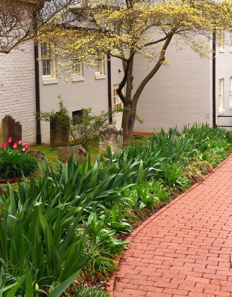 Brick Flatwork Repair in Bronx